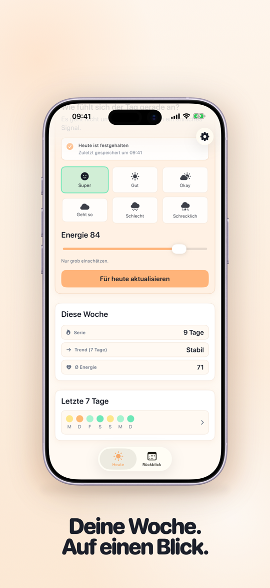 TapDiary Wochenüberblick